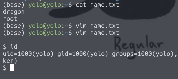 image-20251110185041887