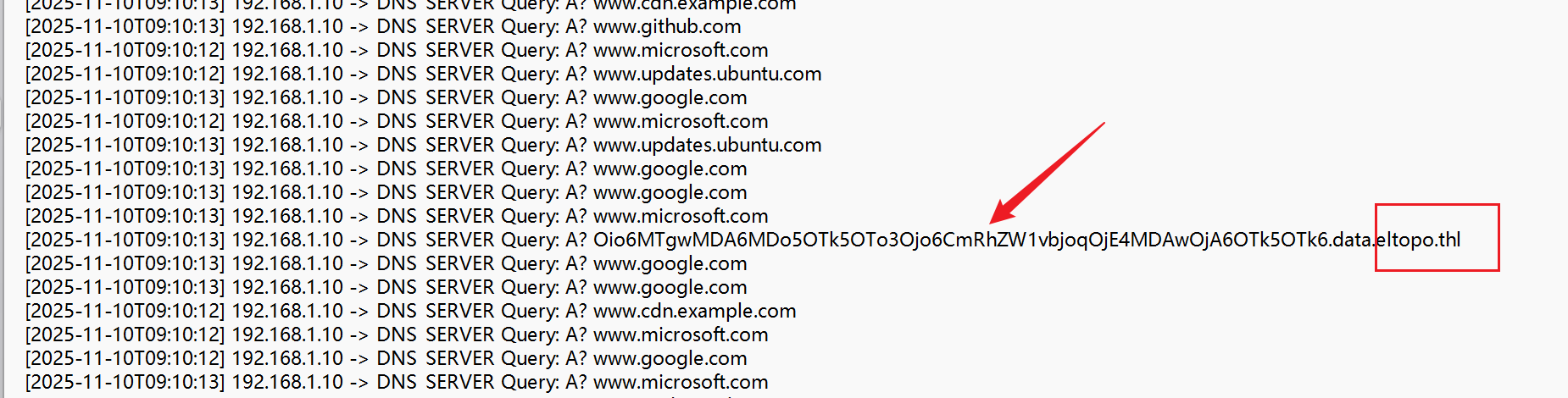 image-20251119222253645